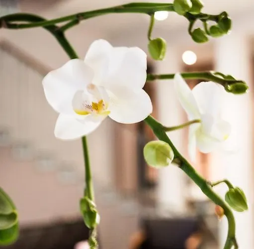 Hotell Matrix Szeged